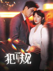 犯了规全集 (下)