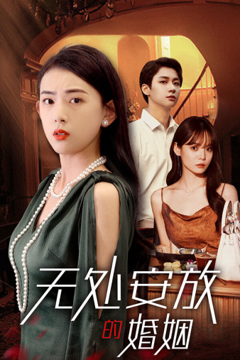 无处安放的婚姻全集(大结局)