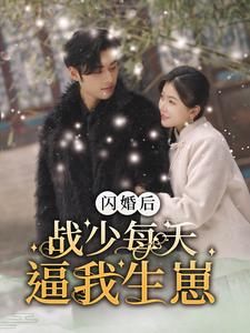 闪婚后战少每天逼我生崽全集(大结局)
