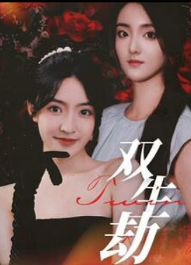 双生劫短剧全集(大结局)