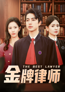 金牌律师(全集)