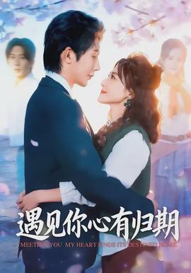 遇见你心有归期(全集)